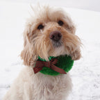 Party on Christmas Wreath