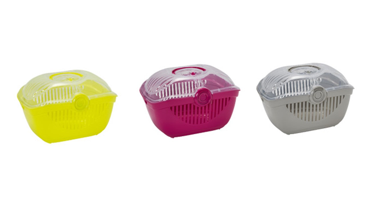 Top Runner for dogs and pet-parent routines